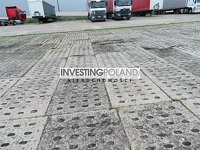 DZIAŁKA na WYNAJEM