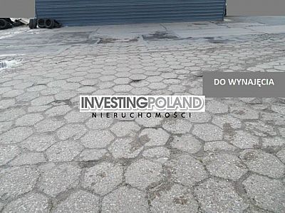 DZIAŁKA na WYNAJEM