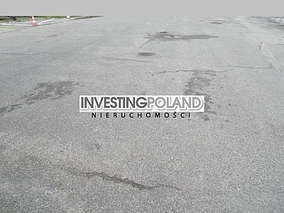 DZIAŁKA na WYNAJEM