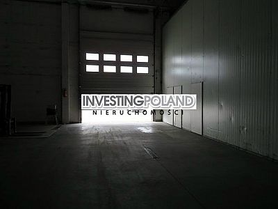 LOKAL na WYNAJEM