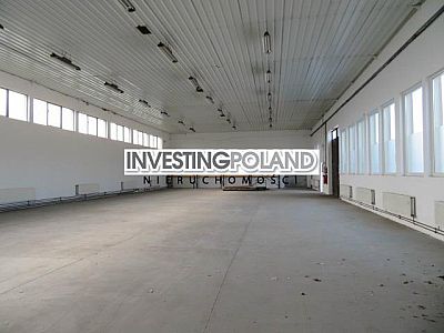 LOKAL na WYNAJEM