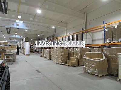 LOKAL na WYNAJEM