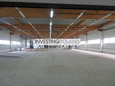 LOKAL na WYNAJEM