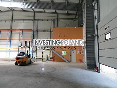 LOKAL na WYNAJEM