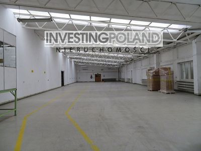 LOKAL na WYNAJEM